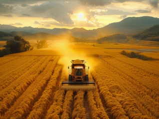 “十五五”种业投资机会在哪里？ | 前瞻十五五⑬