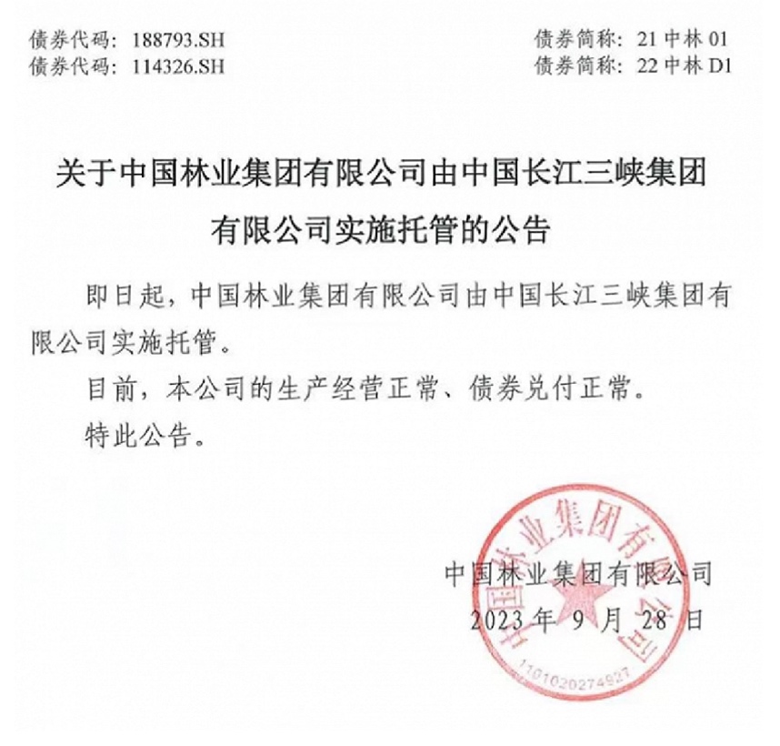 （中林集团被托管公告，图片从天眼查软件截图）