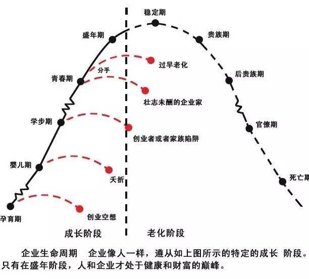 第一部分描述的是企业生命周期过程,以及各个阶段企业所选择的典型