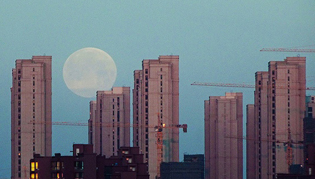 招商蛇口,合肥,雍华府和