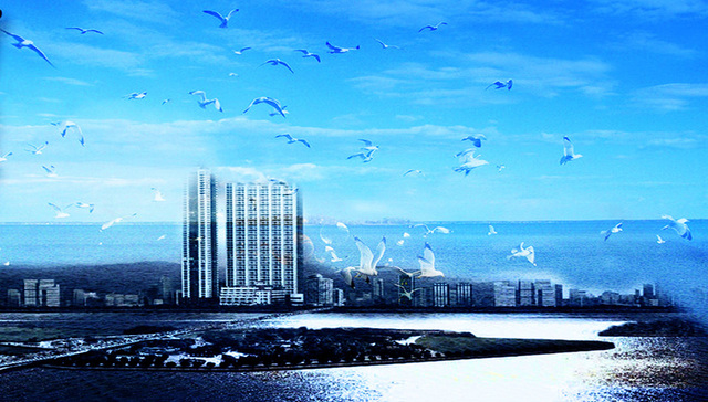 房地产,重庆,中洲,大渡口区