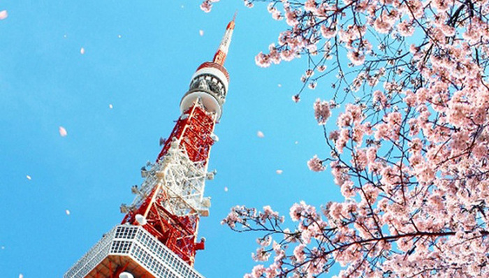 发达国家,日本房地产