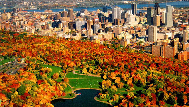 这座城市海外买家交易量飙升37%的秘密全在这里