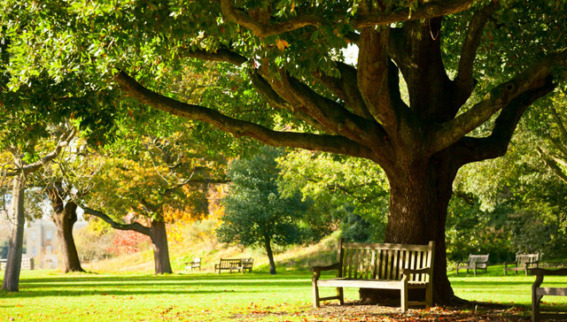 郊区宅地价已达3万 上海21座郊野公园或仍按规划执行