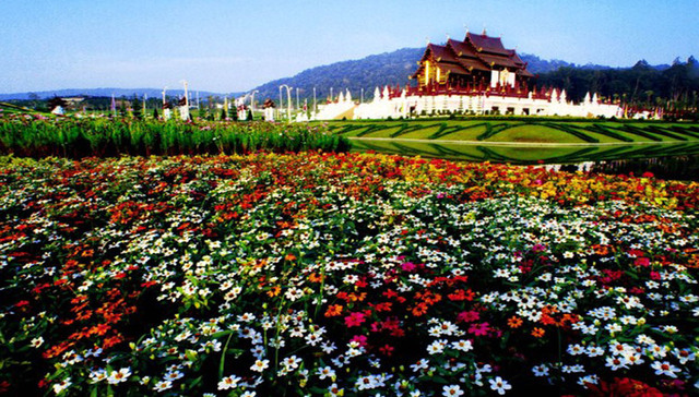 推荐 | 私人泳池开Party 清迈高性价比别墅项目