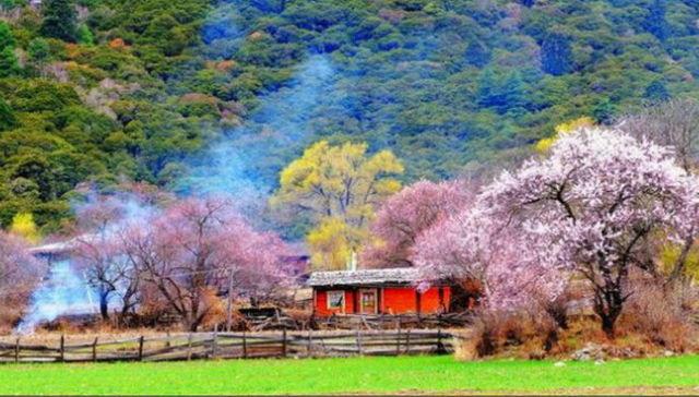 老房改造 民宿的下一个春天？