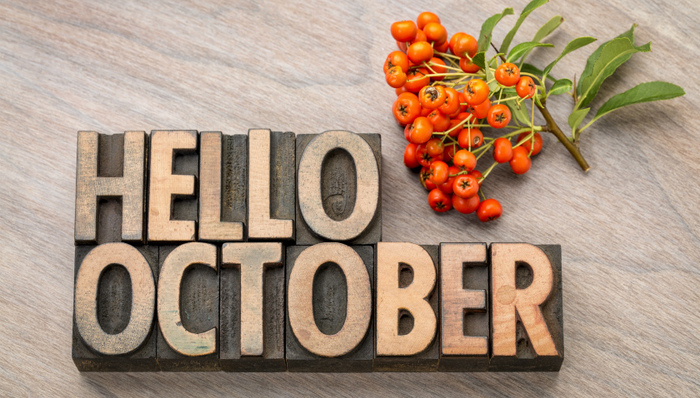 大家好，给大家介绍下，这些就是@10月上海预开盘项目