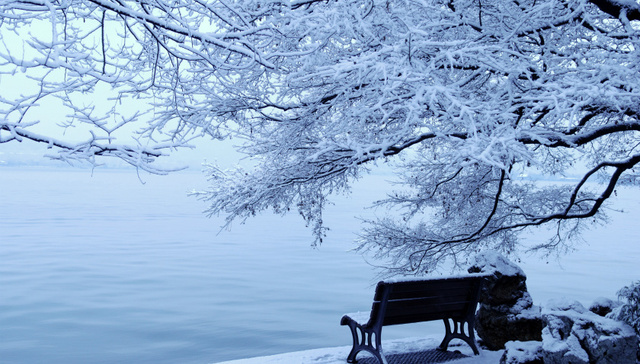 上海连续2周供应挂0 改善产品交易明显降温