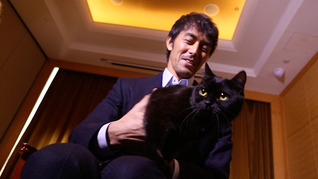 一面|阿部寬：妖貓嗎？是個(gè)“好孩子”啊