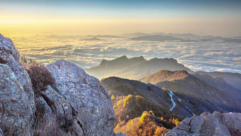 兴隆是如何进入我们视野的