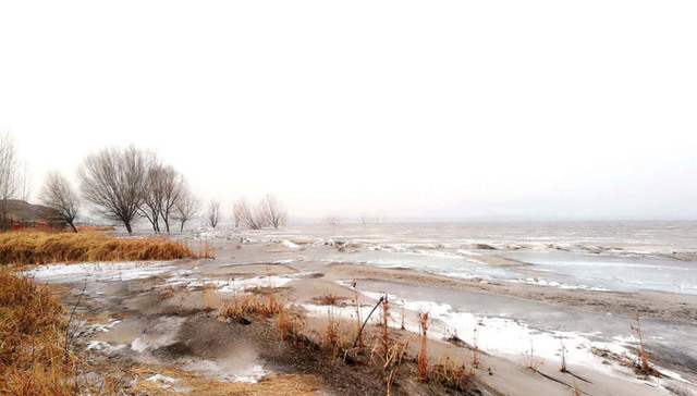 观澜生活：一起来这儿冬日的妖娆吧