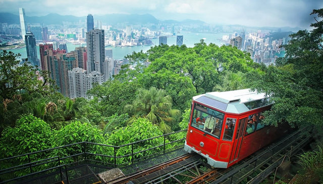 窃听一场空间与花朵的甜言蜜语