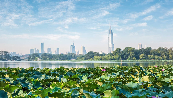 重磅消息，央行又有新动作！京东正式入驻仙林