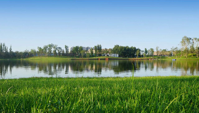 幸福生活+，公园伴左右