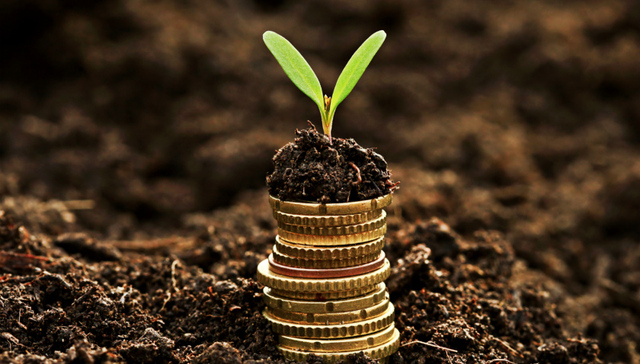 幸福生活+一叶春