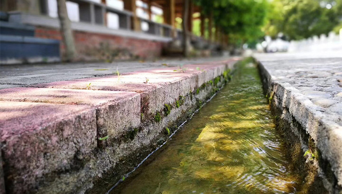 再猎奇的餐厅可能都比不上东非这家可以吃“抹布”的店面