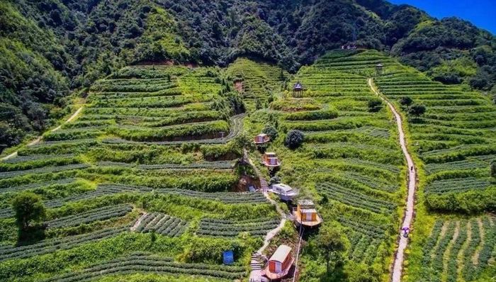 广东氧吧之城连山再登“全国百佳深呼吸小城”榜单