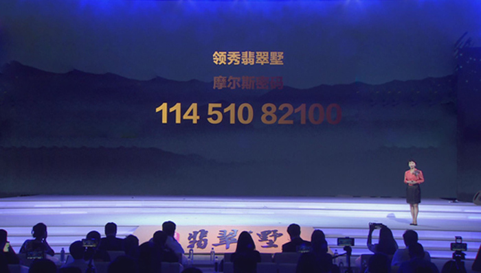 彭艳：被营销耽误的编码大师 在地产圈打了一场漂亮的突围战