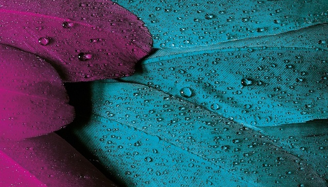 这些粉丝无数的广州女装品牌 你都穿过哪几家的？