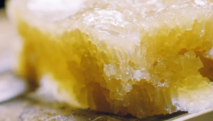 寻味顺德丨江湖传奇伦教糕凭什么称霸餐桌500年？