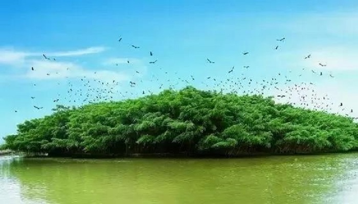 江湛铁路已正式通车 来一场说走就走的美丽滨海高铁之旅吧