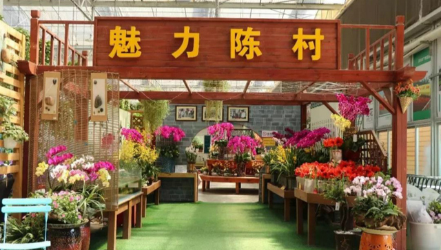 逛花花世界尝地道陈村粉 千年花乡该这么玩