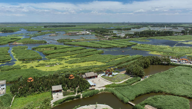 孔雀城之美——中央公园