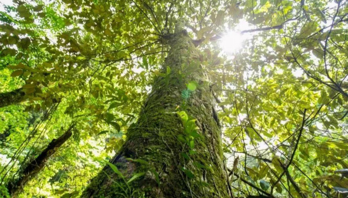 夏日乡村游丨看一眼就想马上出发的天山草原竟藏在韶关这