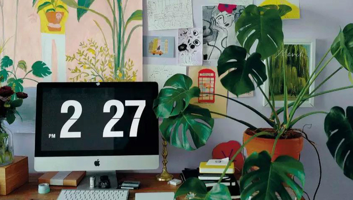 插画师卤猫：孤独与温暖的共同体