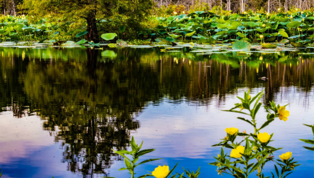 广东耕地保护交出漂亮成绩单：连续18年实现了耕地占补平衡