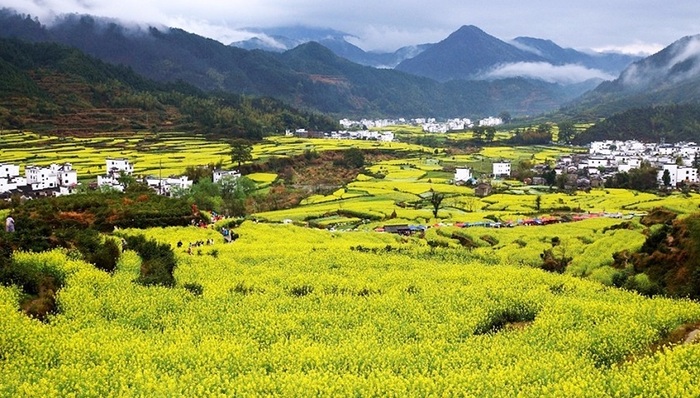 佛山建造岭南文旅小镇 乡村振兴计划助推农村综合性改革