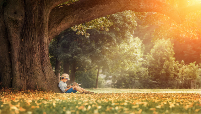 孔雀城之美-慢节奏城市
