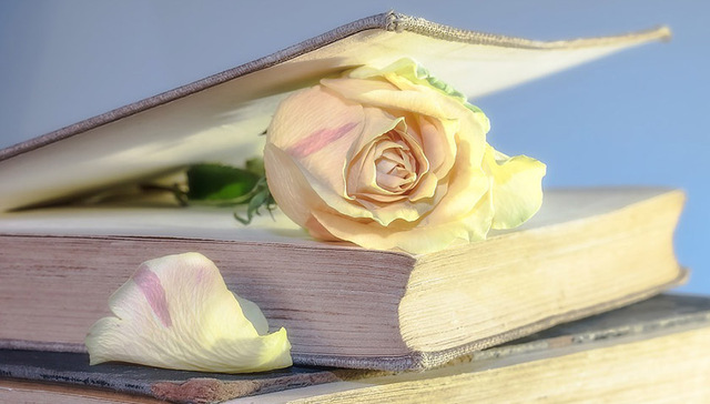 2018南国书香节今日开幕 南方日报出版社携新书亮相