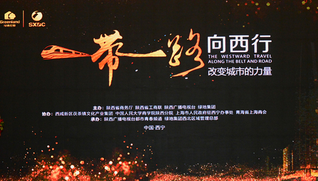 超大型企业与区域经济融合发展 一带一路向西行西宁座谈会举办