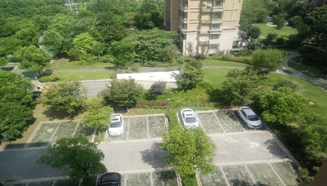 南京超级大盘托乐嘉的“自我净化”