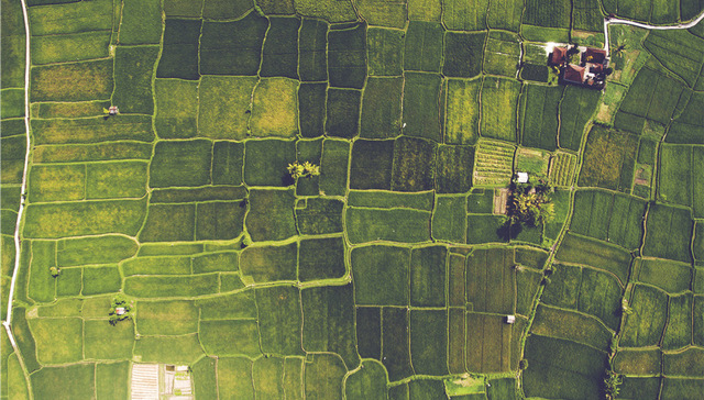 上海宅地遇冷？连续4幅底价成交