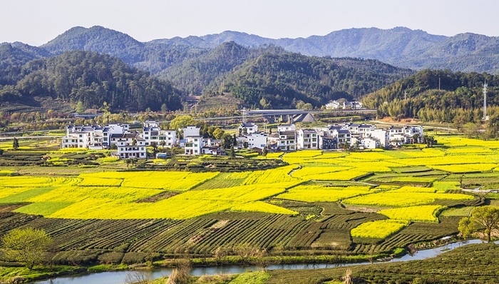 多个试点城市加快推进农村集体建设用地建租赁房