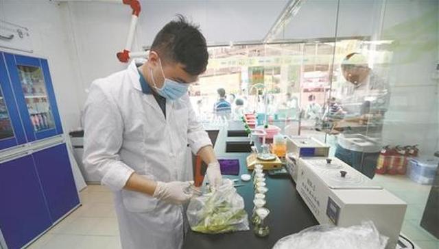 东莞创建国家食品安全示范城市：三项创建工程走在全国前列