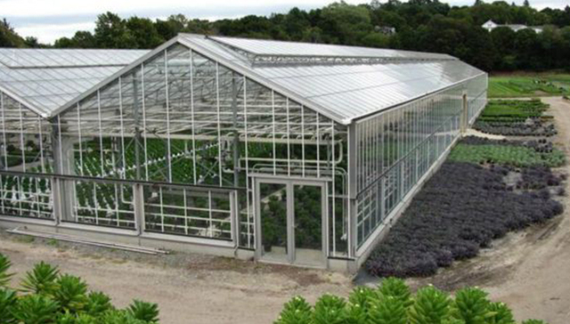 两部委：开展“大棚房”问题专项清理整治行动