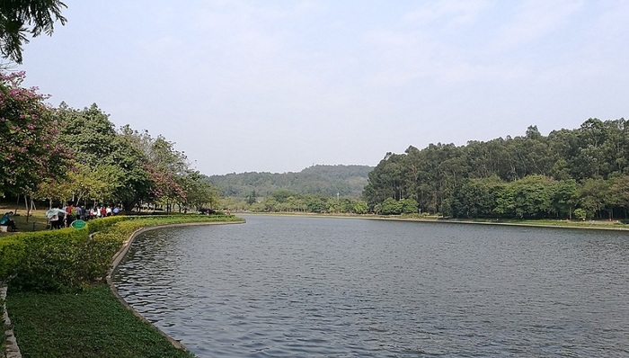 佛山设立双总湖长 水库纳入管理