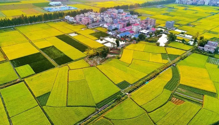 秋天，在韶关体验醉美丰收季