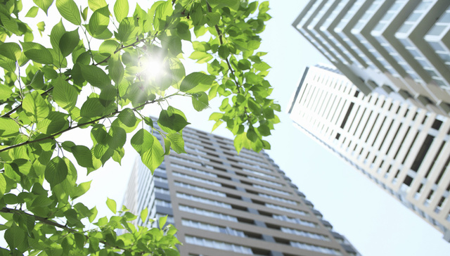 莫过度悲观，看万科、碧桂园、恒大如何