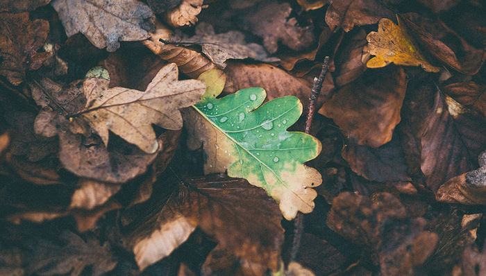 冷空气侵袭广州 今日天气清凉伴有小雨