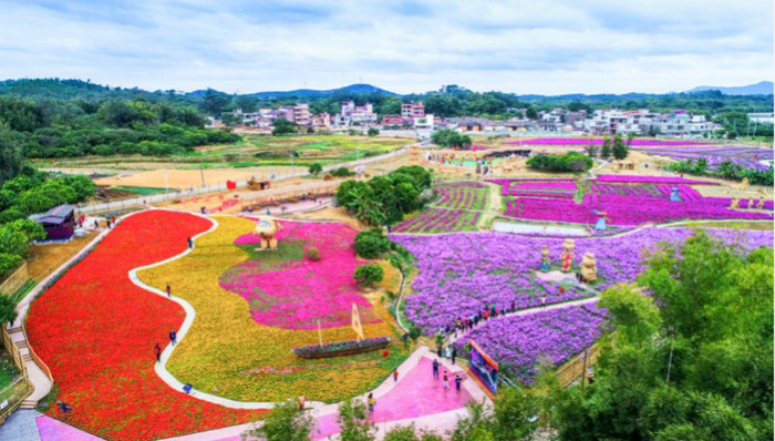 从化西塘村蝶变：从“问题村”变身美丽“童话小镇”