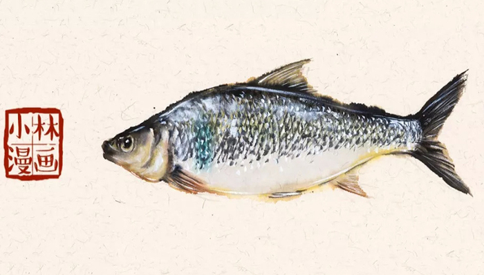 粤港澳大湾区的美食乡愁，都源自这里