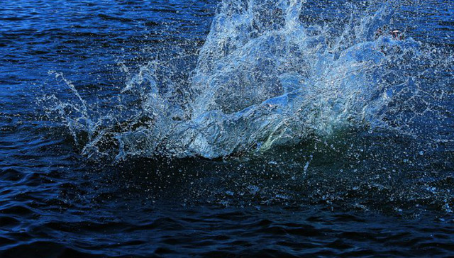 深圳南山推进水源保护 西丽水库保护区内拆除288宗建筑