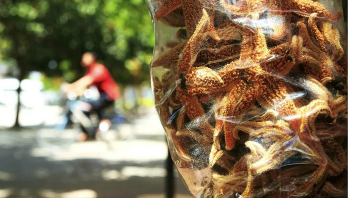 小林漫画 | 一人一马，独自天涯