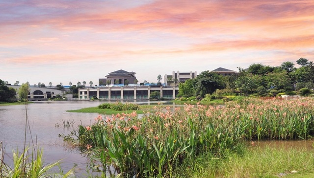 梦想方舟|西站临港经济区，助力重庆西再启航