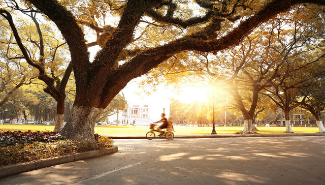 大体量入市的华强城，能否延续博林君瑞热？