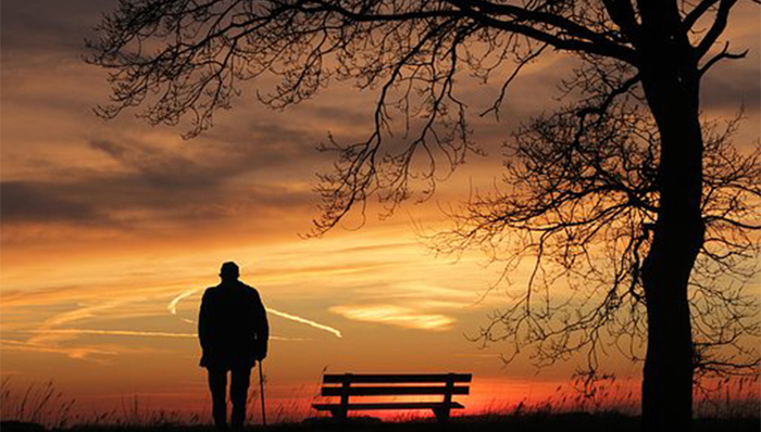 佛山出台特困人员供养工作实施办法，救助金不低于低保标准1.6倍